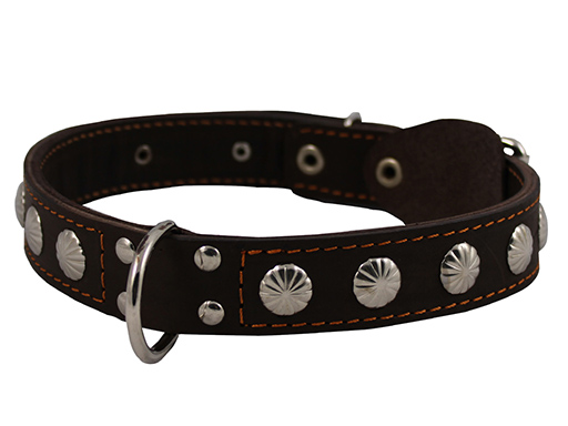 Ошейник кожаный Каскад Classic для собак с заклепками и полукольцом по середине 30мм (Черный, 49-58см)