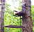 Засидка складная на дерево Canadian Camper CC-TS501