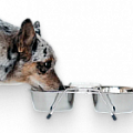 Миски и кормушки